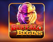 Buffalo Begins